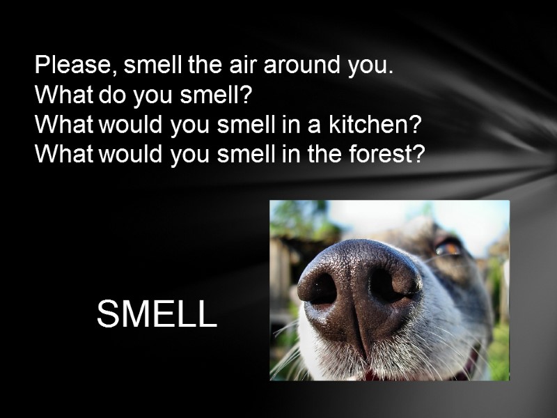 Please, smell the air around you. What do you smell?  What would you